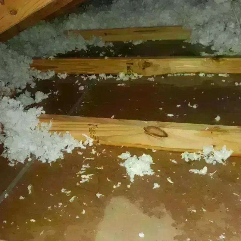 Attic Water Damage in Mexico, ME